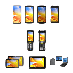 Zebra Devices-1