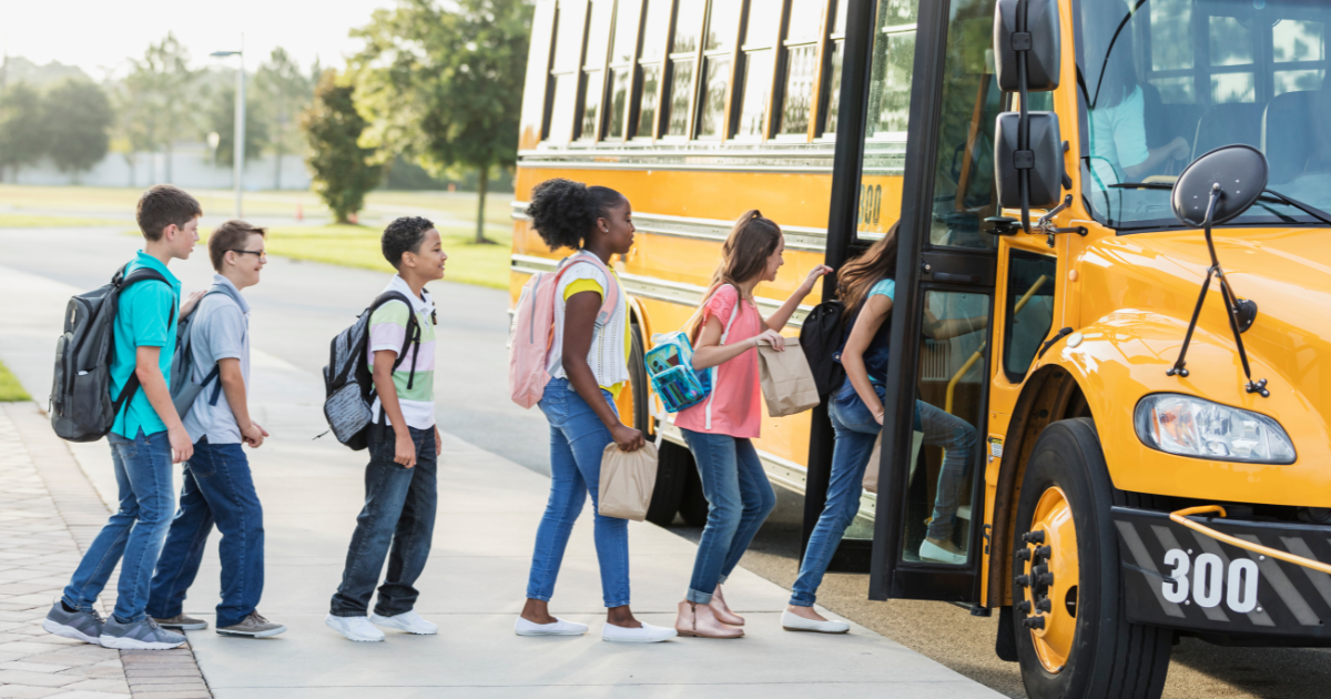 Building a Fully Connected Bus System